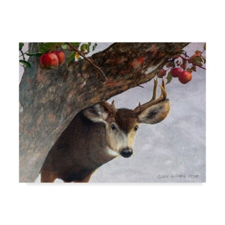 Chris Vest 'Apple Deer' Canvas Art,14x19